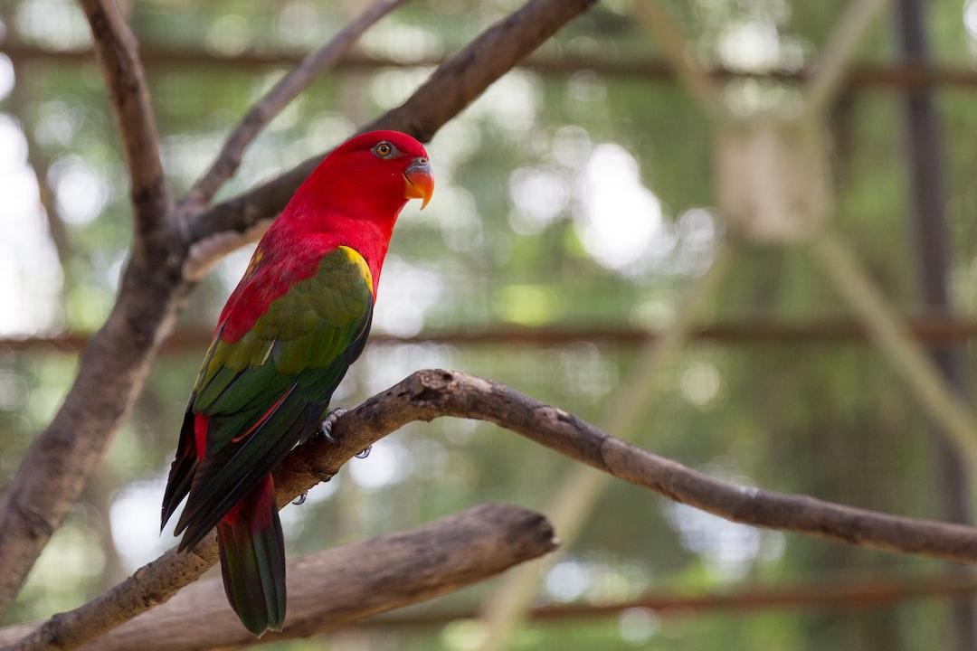 Quels sont les noms de tous les animaux ?